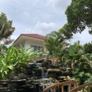 베델약국 이미지