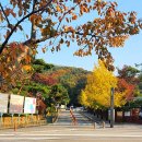 주식회사지냄 이미지