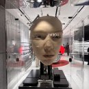 New 한국인이 많이 하는 영어 실수 (2) | UC Berkeley 교환 1주차 (상)