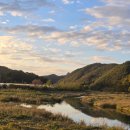 하천(갑천2-1) 이미지
