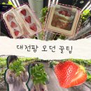 모던팜 | 대전 실내 아이랑 체험 대전팜 모던 무료주차 가격 딸기 쿠킹클래스