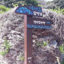 여서도민박 이미지