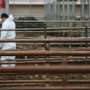 김철수농장 이미지