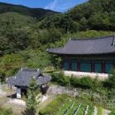 봉서사 | 봉서사 탐방기 (전주 전통사찰, 도심 속 산사, 불교문화체험)