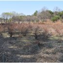 SKJ상경원요양병원 이미지