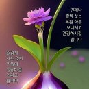 1월27일 출석 할뿌니고ㅡ 이미지