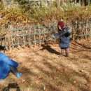 숯고개공원 이미지