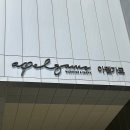 내빈식당 | 아펠가모 공덕 라로브홀 결혼식 본식 후기 (선택 이유 &amp;식순정보)