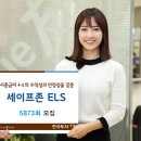 세이프존 이미지