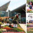 박람회길 이미지