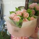 한마음플라워