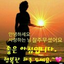 하루파출부 Daum카페