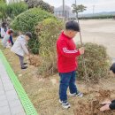 해제남초등학교 이미지