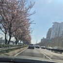 삼성펫클리닉 네이버블로그