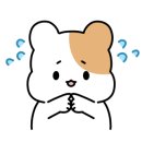 뀨카페 이미지