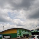 서산야채청과 | 안양 평촌 수산시장에서 대게, 회 사다가 먹어요