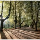 이천 무형문화재 전수교육관 이미지