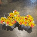 아이엠어린이집 이미지