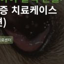 장호원동물병원 이미지