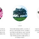 공동체거점공간 가치공도 가치봄 | 충청남도 청양 이름의 유래와 역사, 문화유산