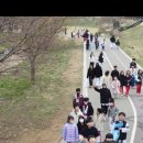 용인대 세미 태권도장 이미지