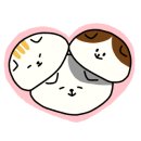 에스테라뷰티 이미지