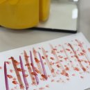 아이누리유치원 | 대구 아이누리 유치원 간담회 후기 | 과정의 소중함을 다시 느낀 날