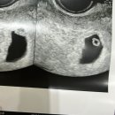 웰하이여성아동병원 이미지