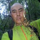 산삼나라 네이버블로그