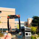 명곡여자중학교 이미지