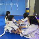 삼성태권도장 이미지