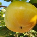 우직농장 이미지