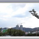 용호만유람선터미널 이미지