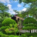 금란자연 이미지