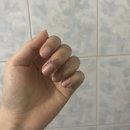 피그코인노래연습장 이미지