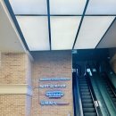 고속터미널역 | 딤딤섬 코리아 a세트 메뉴 고속터미널역 맛집 후기!