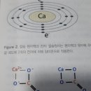 섹칼슘 이미지