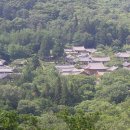 태고총림