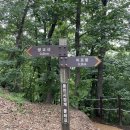천운타고 | [공지] [서울/경기] 광청종주(광교산,백운산,바라산,우담산,청계산) 대중교통, 소요시간 후기