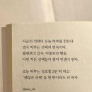 이것 저것 요즘 일상