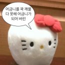 W-13 이미지