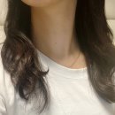 헤어리움 이미지