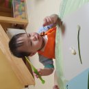 동치미 담그기~🥕🧅 이미지