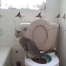 첨단대항외과의원 이미지