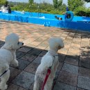 구월햇살농장 이미지