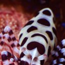 원주시정신건강복지센터 이미지