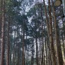 모악산 일주문 | 모악산 전 코스 돌아보기 금곡사길~금선암길