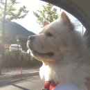 지오앤코 이미지