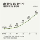 플렉스카 이미지