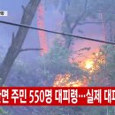 강릉인력 세계로컬신문